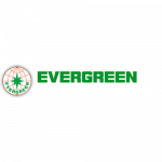 Evergreen-1x1