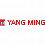 Yang-Ming-1x1